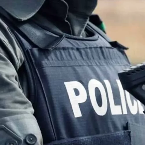 police arrest 83 suspects rescue 20 kidnapped victims in enugu