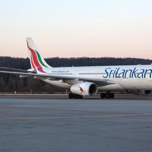 stowaway rat grounds srilankan airlines flight in colombo